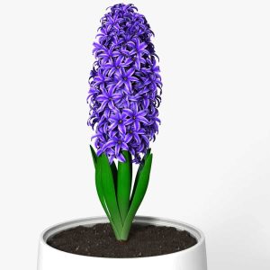 import placeholder for 119600