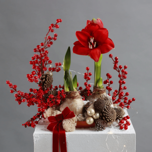 import placeholder for 116962