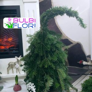 import placeholder for 96387