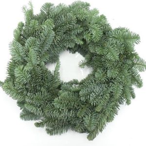 import placeholder for 96389