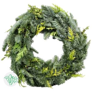 import placeholder for 96881