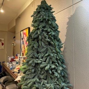 brăduți nobilis confectionati manual