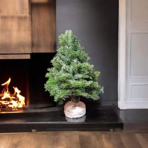 import placeholder for 116933