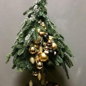 import placeholder for 116875