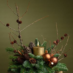 import placeholder for 116985