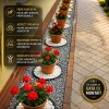 Kit Grădină Decorativă 1 metru pe 35 cm latime