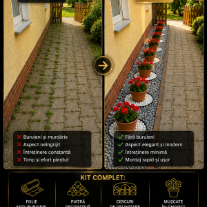 Kit Grădină Decorativă 4 Metri cu Mușcate